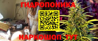 молекула духа Апрелевка