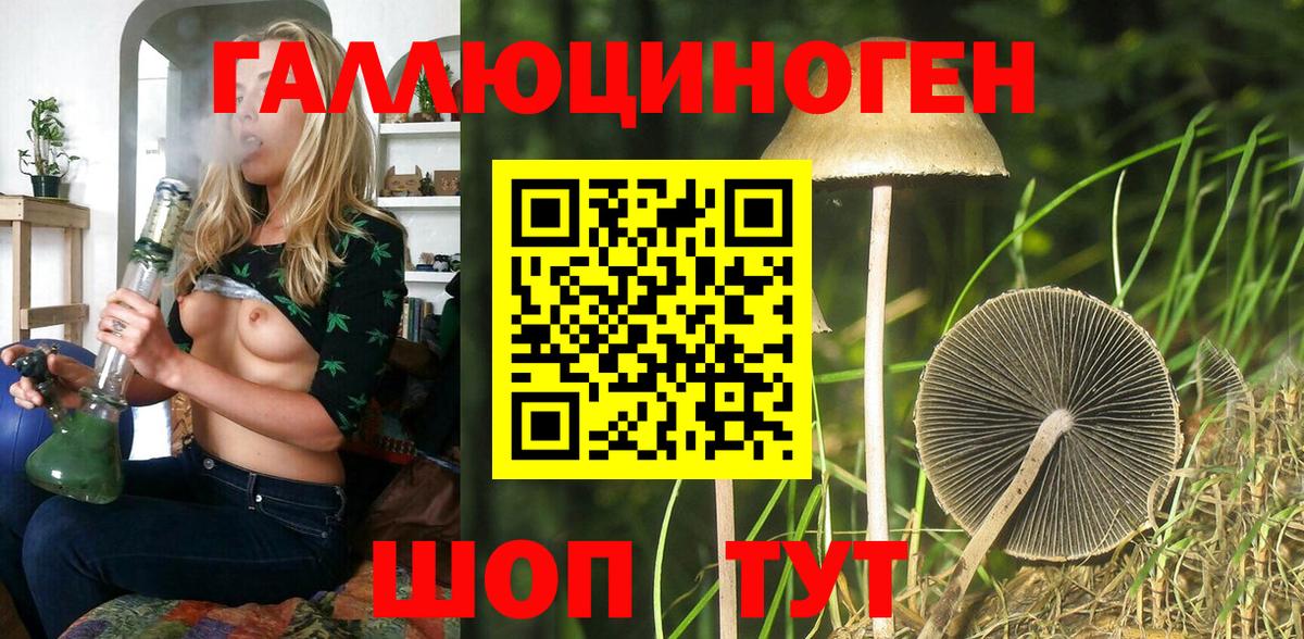 Галлюциногенные грибы Cubensis Благодарный