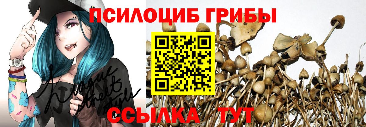 Благодарный  Псилоцибиновые грибы ЛСД  Вход с VPN 